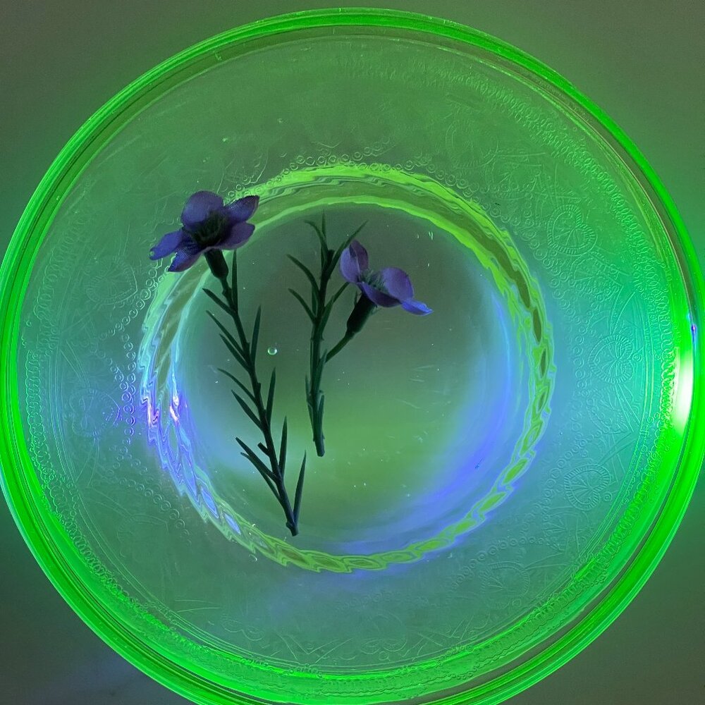 4 Brilliant Vintage Uranium Glass Plates Rare Version (set)